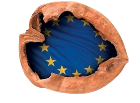 EUNUT-removebg-preview M365 logo